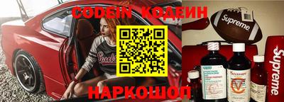 индика Гагарин