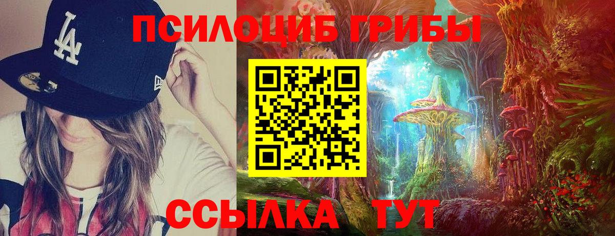 Псилоцибиновые грибы Psilocybe Благодарный