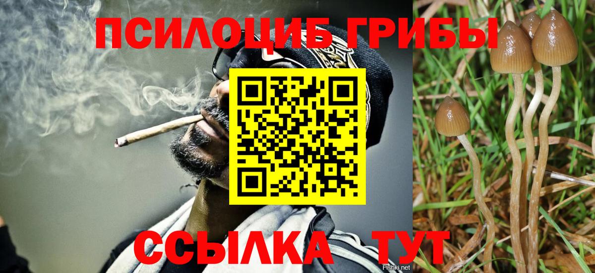 Галлюциногенные грибы Cubensis Благодарный