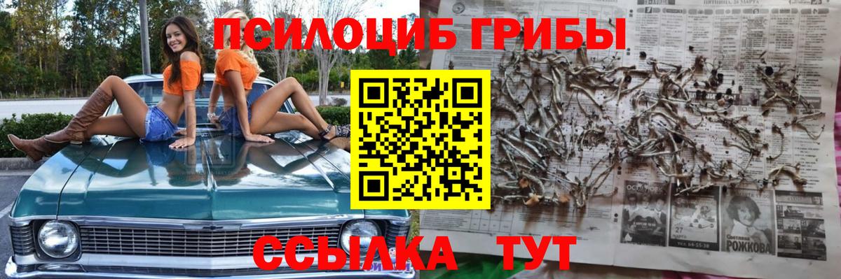 Псилоцибиновые грибы Psilocybe  Вход с VPN  Благодарный 
